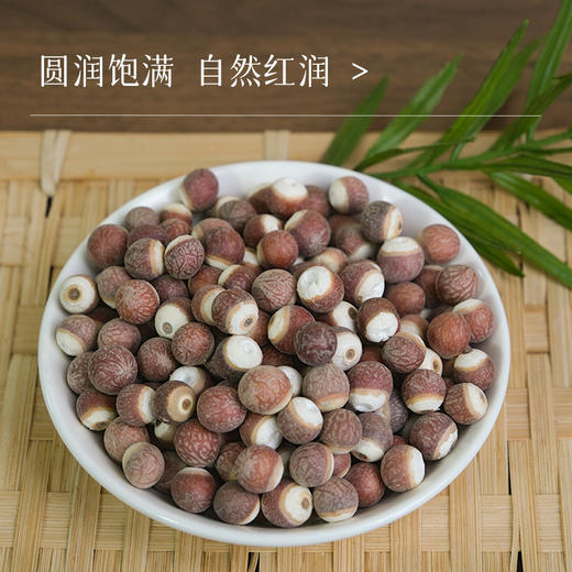 【新货】万物本草肇庆芡实  红皮大果鸡头米 不熏硫 商品图0