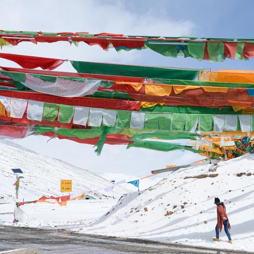 春季林芝-墨脱 | 雪域桃花自然人文探索 7天6晚 商品图2