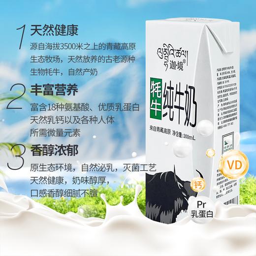 青海 迦境 牦牛纯牛奶200ml*10/箱 商品图1