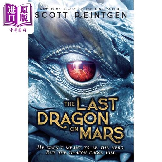 【中商原版】龙船系列 火星上的一条龙 The Last Dragon on Mars 英文原版 Scott Reintgen 青少年文学 奇幻流行小说 商品图0