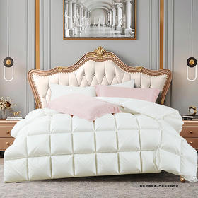 鑫缘 御绒系列白鹅朵朵绒被（升级款） EYPX