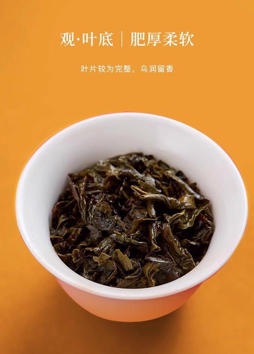 八马茶叶 安溪铁观音小清新1号 商品图3
