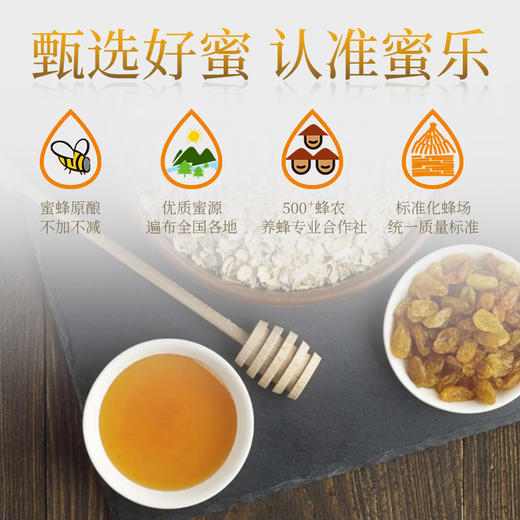 【蜜乐】花开蜜乐枇杷/黄芪蜂蜜【优质品】 单瓶装/礼盒装 商品图4