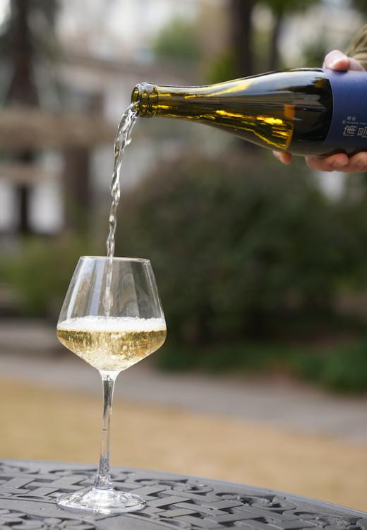 【江浙沪快递】新疆蒲昌酒庄 2022蒲昌白羽干白葡萄酒 商品图1