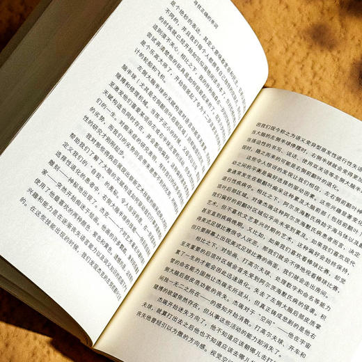 寻找正确的单词 一个关于文学 悲伤和大脑的故事 薄荷实验 商品图11