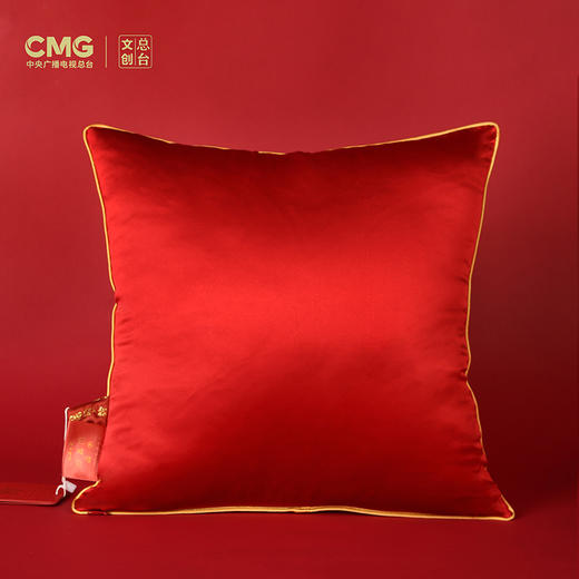 总台文创蛇年巳巳如意宋锦靠枕 新年礼物客厅沙发结婚喜庆抱枕 商品图2