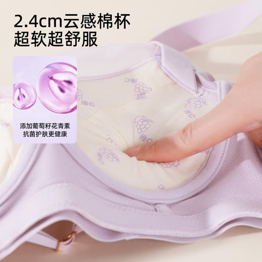 【商场同款】熳洁儿 繁花系列小胸聚拢高级刺绣蕾丝云感棉中厚杯记忆钢圈24701303 商品图4