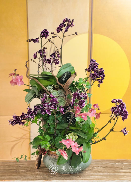 JT紫气东来 商品图0