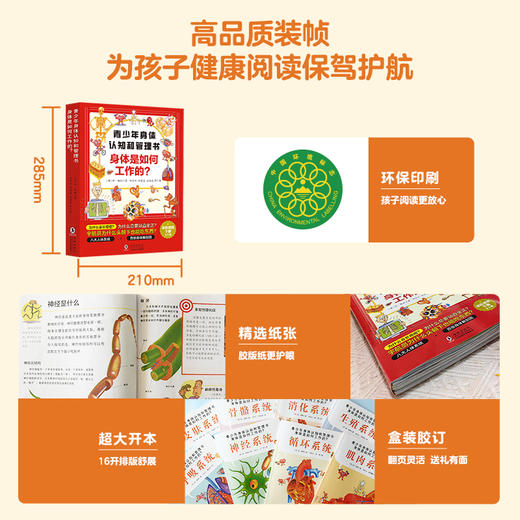 青少年身体认知和管理书：身体是如何工作的？（全8册） 商品图4