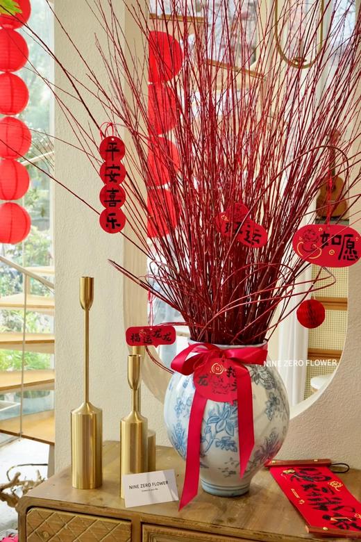 伊朗进口红瑞木红柳鲜切枝 商品图4