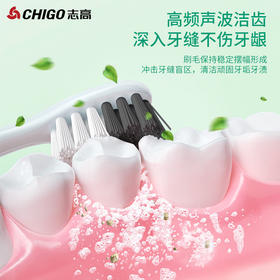 志高成人电动牙刷ZGYS-0608 （年货节秒杀）