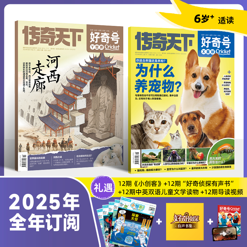 6-12岁适读 |《好奇号》杂志2025年订阅 2025.1-2025.12 少儿通识科普读物订阅 科普+人文+双语阅读