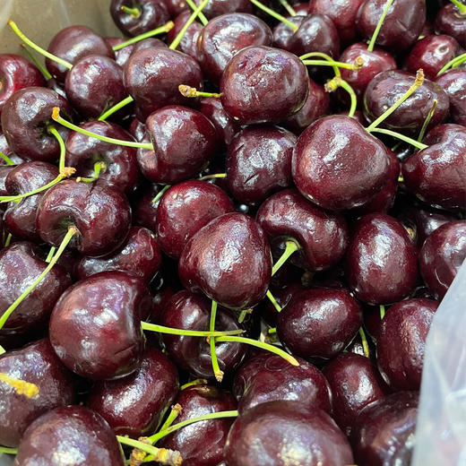 进口车厘子（3J精品）约500g/份 商品图0