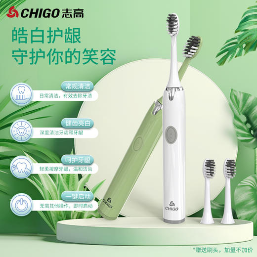 志高成人电动牙刷ZGYS-0608 （年货节秒杀） 商品图1