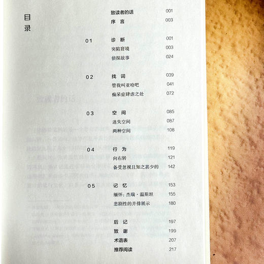 寻找正确的单词 一个关于文学 悲伤和大脑的故事 薄荷实验 商品图8