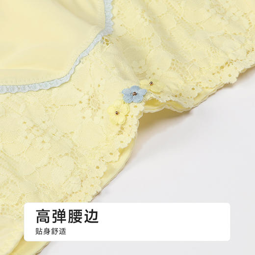 都市丽人三角内裤锦泳薄透丝滑配套内裤LPH1M5 商品图5