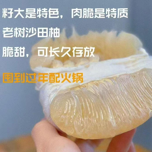 广西老树沙田柚 纯甜无酸，果肉脆嫩，清甜爽口 商品图1
