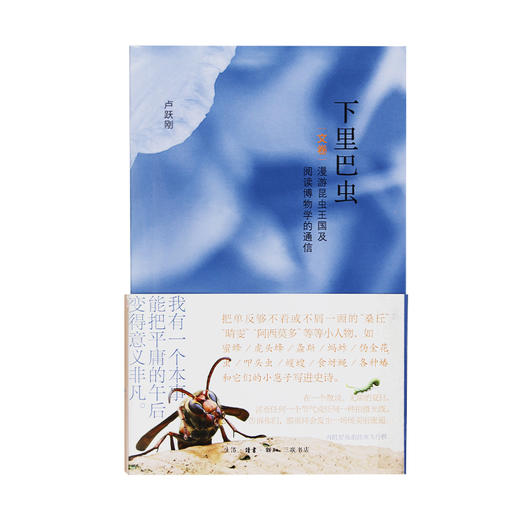 下里巴虫 昆虫王国 时代的昆虫记 卢跃刚 著 三联书店 商品图1
