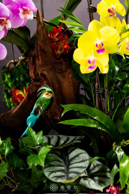 蛇年吉祥 商品图2