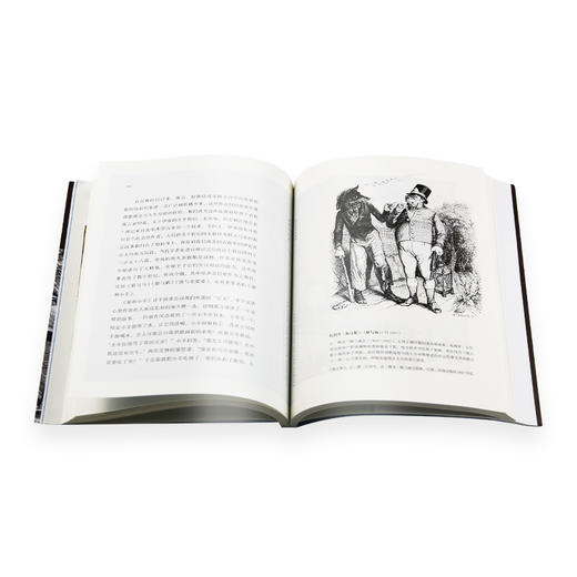 狼的文化史 米歇尔 帕斯图罗 著 白紫阳 译 三联书店 商品图3