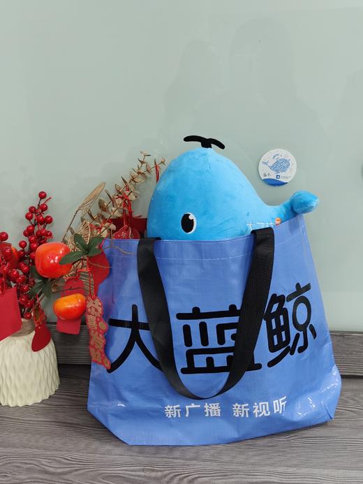 大蓝鲸定制潮玩包袋 商品图0