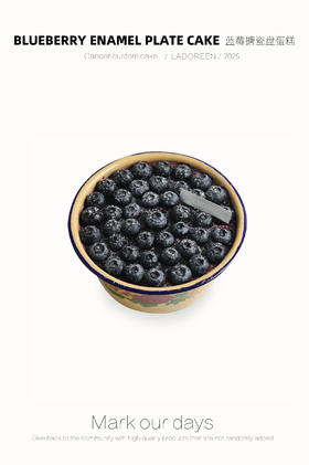 蓝莓搪瓷盆蛋糕（中盆）