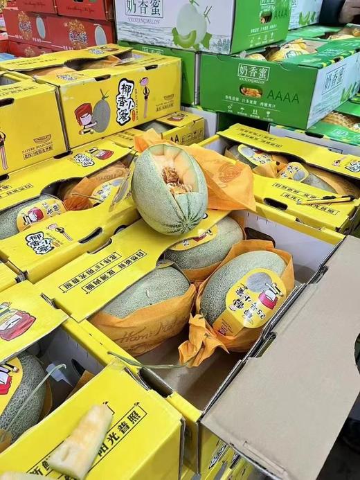 椰香晓蜜瓜一个 商品图0