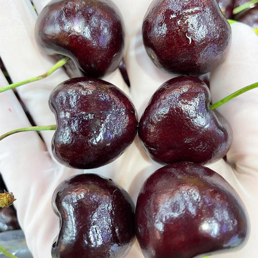 进口车厘子（3J精品）约500g/份 商品图1