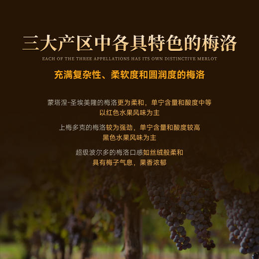 【拉菲孪生酒款·全球限量】埃德蒙·罗斯柴尔德系列干红葡萄酒 比AOC更高的品质 商品图8