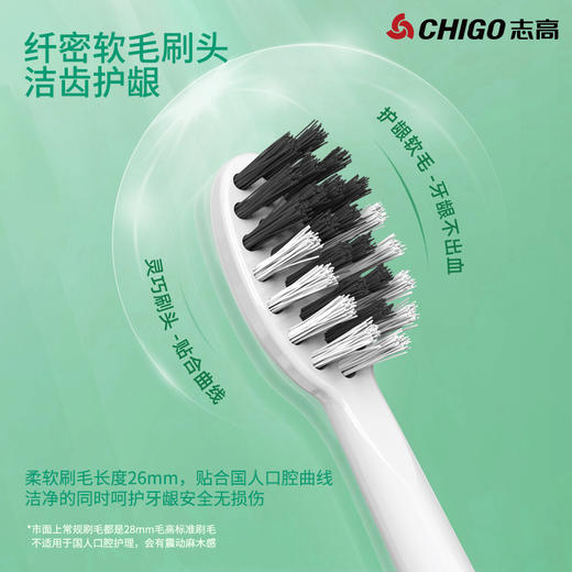 志高成人电动牙刷ZGYS-0608 （年货节秒杀） 商品图2