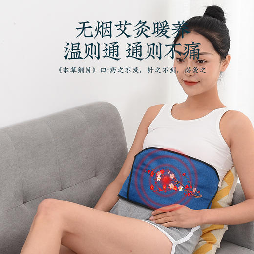 【精选】智能9档控温电加热艾绒护腰宝  艾草热敷腰带家用宫寒理疗袋定时定温 魔术贴腰围可调节 商品图1
