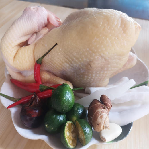 文昌鸡椰子鸡套餐 （1只鸡+椰子水套餐）  备注：鸡重1kg 商品图4