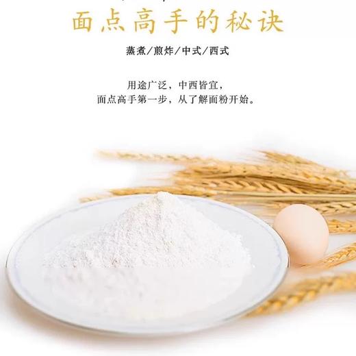 金龙鱼特精高筋小麦粉 5kg/袋 商品图2