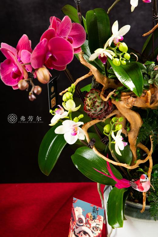 蛇年大吉 商品图2