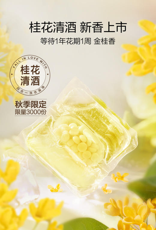 【脆美】 绽家洗衣凝珠持久留香除螨去污渍三合一多功能洗衣液柔顺护衣 商品图6
