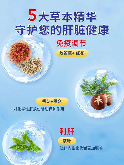 专属 九芝堂茶调节免疫力低下肝火加班熬夜喝酒肝损伤 2g*8 商品图3
