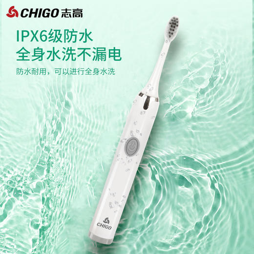 志高成人电动牙刷ZGYS-0608 （年货节秒杀） 商品图3