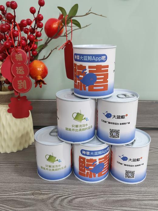 大蓝鲸定制趣味盆栽 商品图0