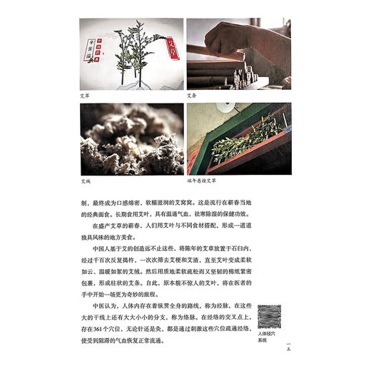 本草中国（第二季） 配增值 丰富角度 由表及里 由浅入深 由形至神 由趣达思 充分彰显大医精诚的力量9787117328098人民卫生出版社 商品图3