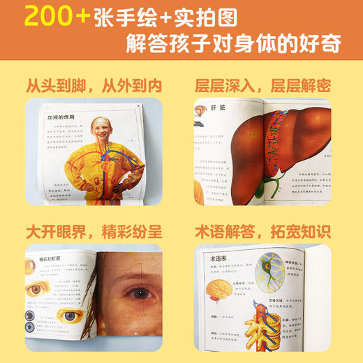 身体运转的秘密（全8册） 商品图3