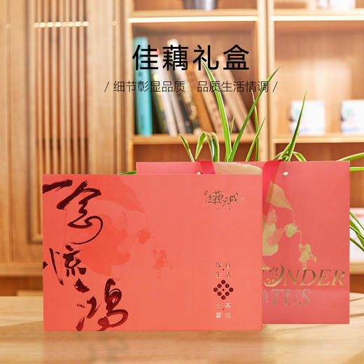 佳藕天成藕粉礼盒套装 正宗杭州西湖特产纯藕粉茶叶蜂蜜礼盒 商品图3