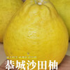 广西老树沙田柚 纯甜无酸，果肉脆嫩，清甜爽口 商品缩略图2