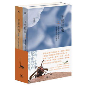 下里巴虫 昆虫王国 时代的昆虫记 卢跃刚 著 三联书店