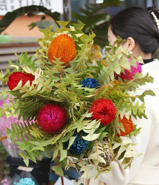 澳大利亚进口各色佛塔花班克木干花 商品图0