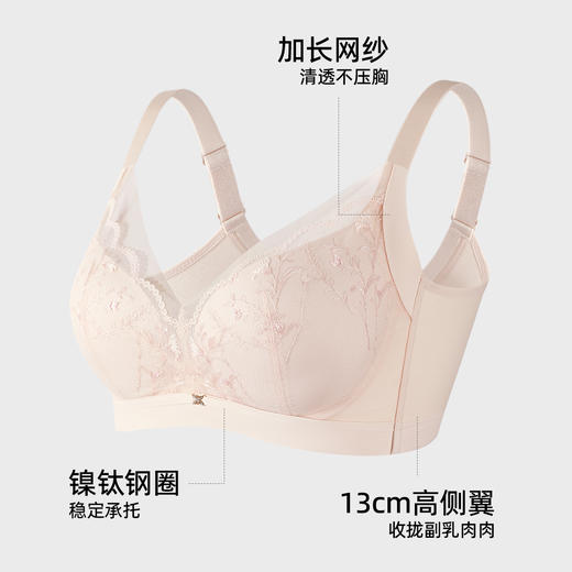 【商场同款】熳洁儿 繁花系列高级刺绣蕾丝大胸显小薄杯云感棉记忆钢圈24701305 商品图1