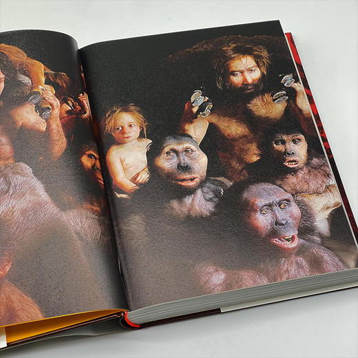 人类史前史  马克·阿泽玛,洛朗·布拉维耶  著 三联书店 商品图3