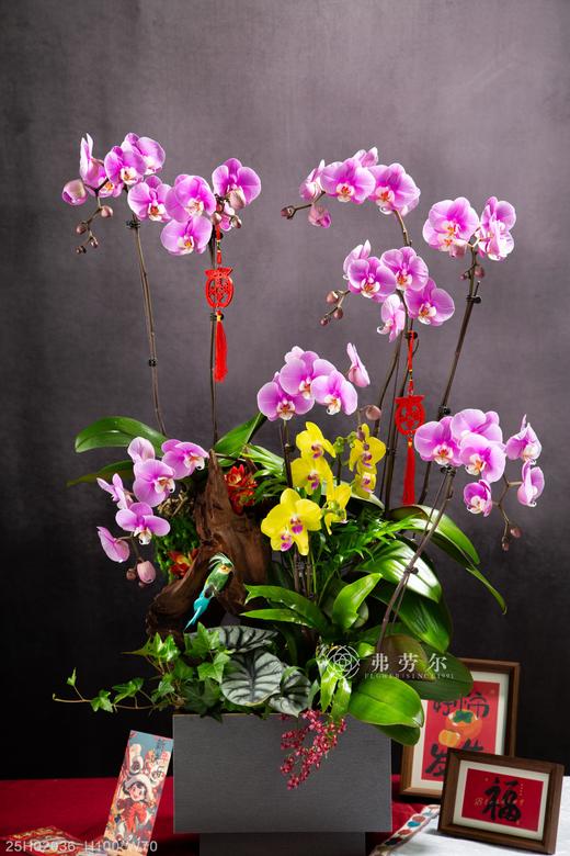 蛇年吉祥 商品图0