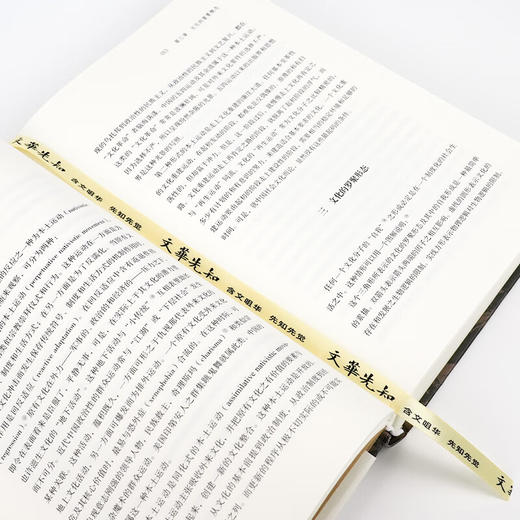 《中国文化的展望》殷海光 著 商品图6