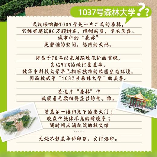 华中科技大学建筑模型系列-醉晚亭 商品图3