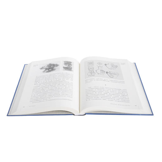 时空中的美术(新版) 古代美术史文编二集 美 巫鸿 著 三联书店 商品图1